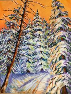 les-sapins-verts-en-hiver.jpg