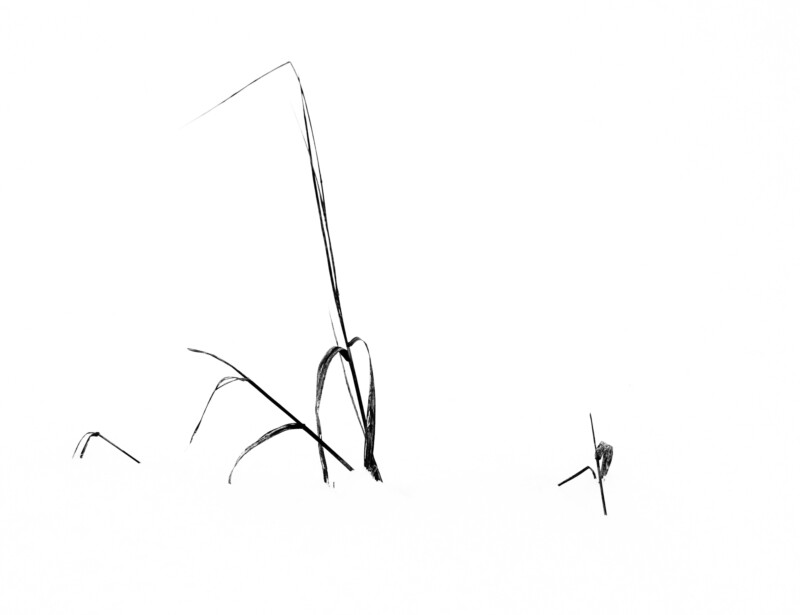 haiku